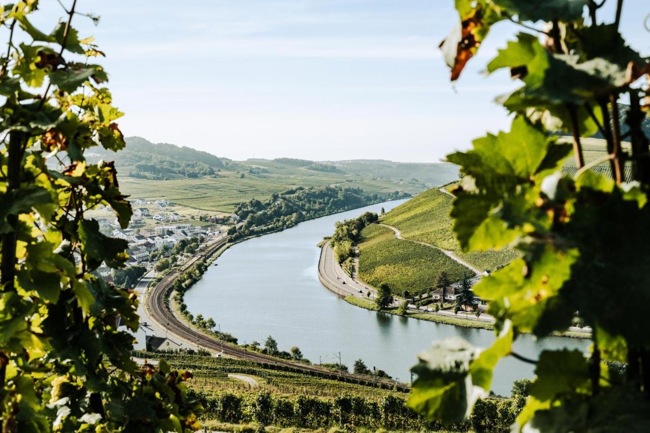 Weingut Und Gaestehaus Apel Nittel Exterior photo